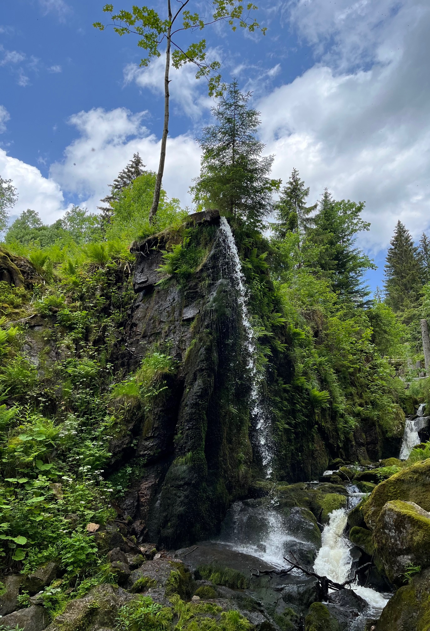Renforcer ses compétences en techniques hypnotiques relationnelles, 24 janvier 2026 - Mmes Sciboz, Pfefferlé et Rohr